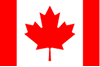 Bandera 7
